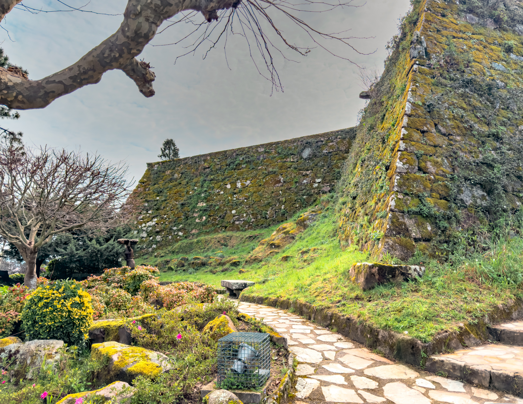 Vigo Travel Guide (10).png